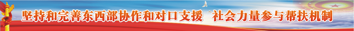 坚持和完善东西部协作和对口支援