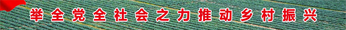 举全党全社会之力推动乡村振兴习近平