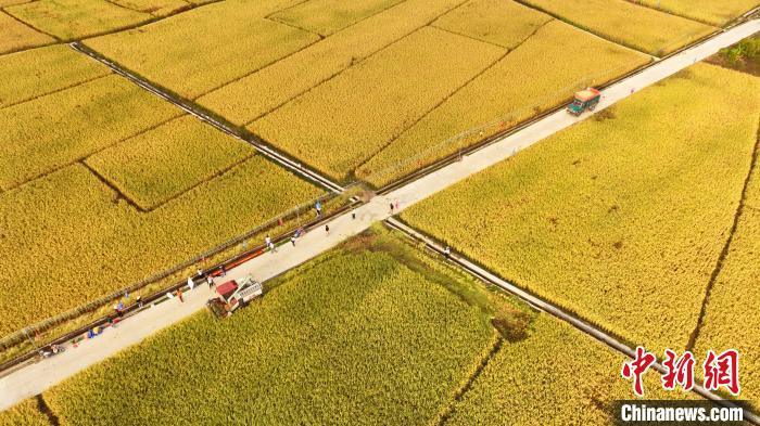 广西全面推进乡村振兴绘就壮美新画卷