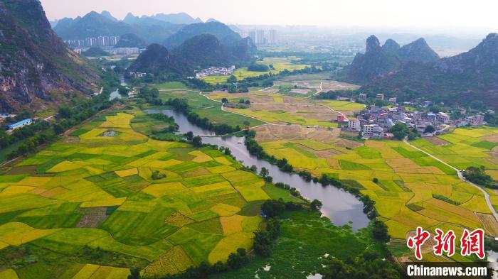 图为桂林灵川县聚田村。 王万锋 摄 图为桂林灵川县聚田村。 王万锋 摄