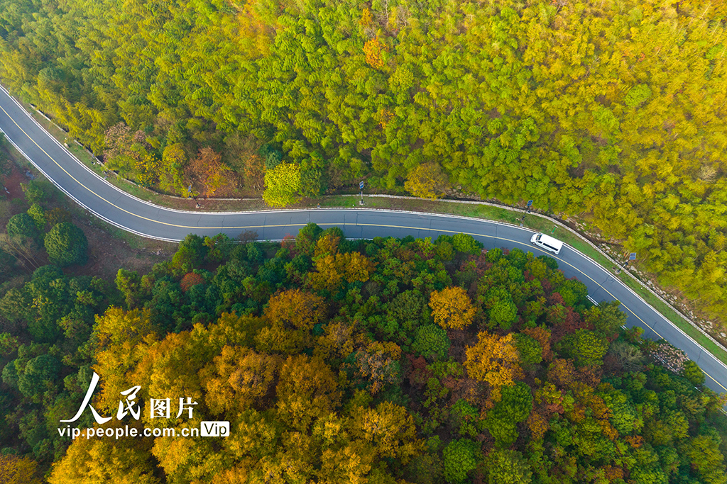 江苏南京：无想山风景区冬景如画【5】