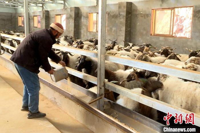 图为村民现在的标准化养殖。　李永兰 摄