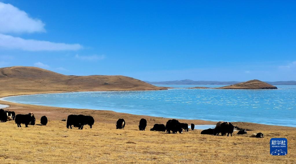 中国将建成世界最大国家公园体系