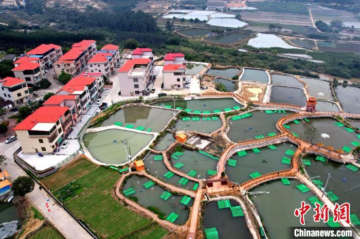 （新春走基层）福建长泰：昔日鱼塘变身网红“渔村”