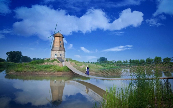 高清天鹅湿地公园。活动方供图