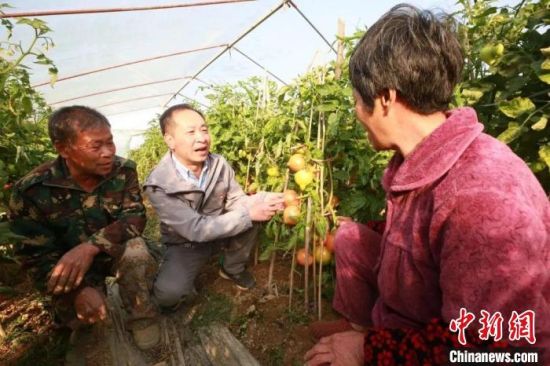 坑下村驻村第一书记林曦与农户交流农作物长势。　福建电力供图