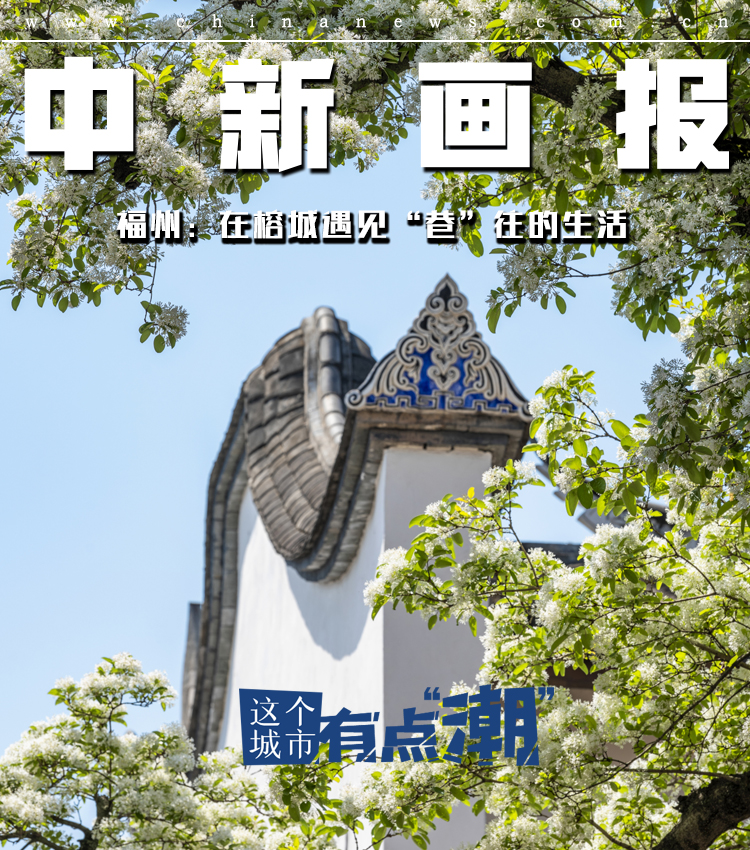 【这个城市有点潮】福州：在榕城遇见“巷”往的生活