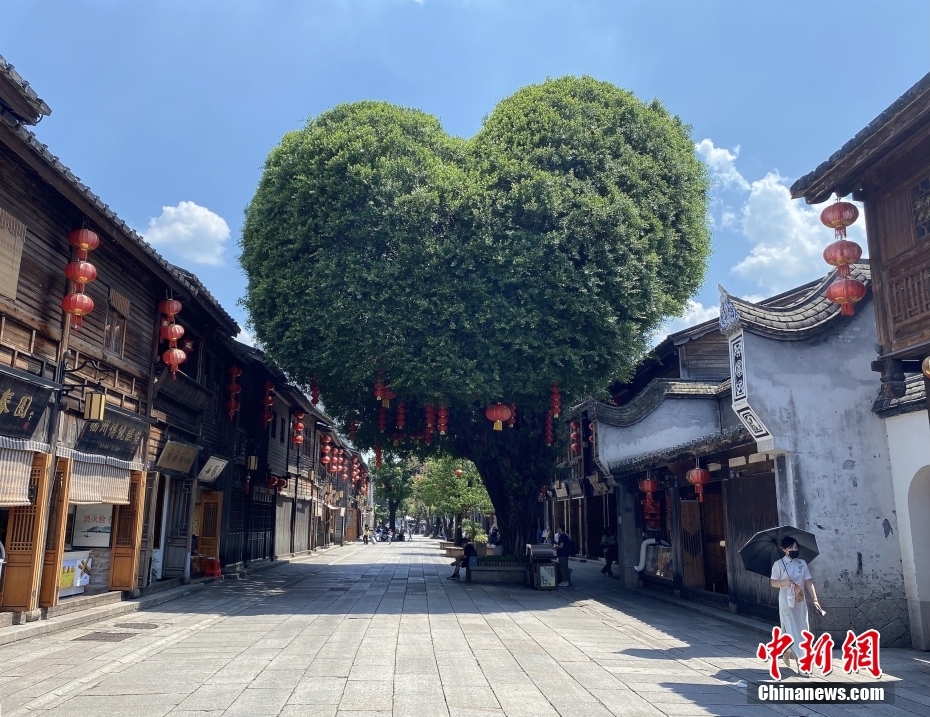 【这个城市有点潮】福州：在榕城遇见“巷”往的生活