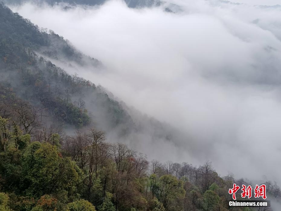 世界自然遗产地梵净山：云雾缥缈宛如仙境