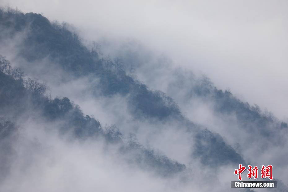 世界自然遗产地梵净山：云雾缥缈宛如仙境