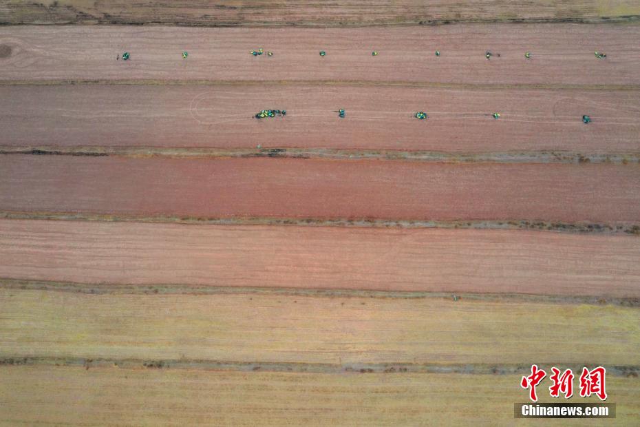 俯瞰“柴达木粮仓”田间地头美如油画