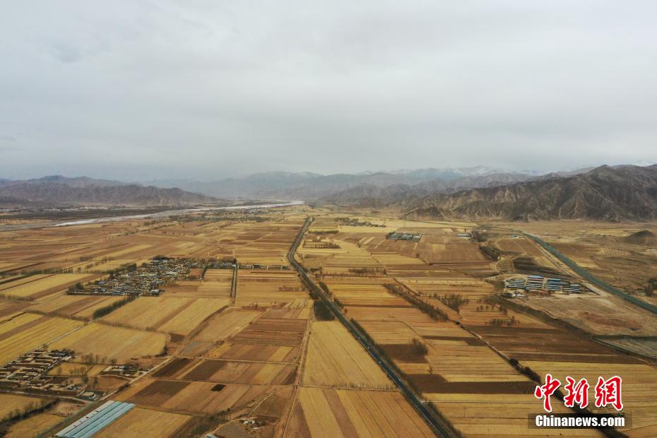 俯瞰“柴达木粮仓”田间地头美如油画
