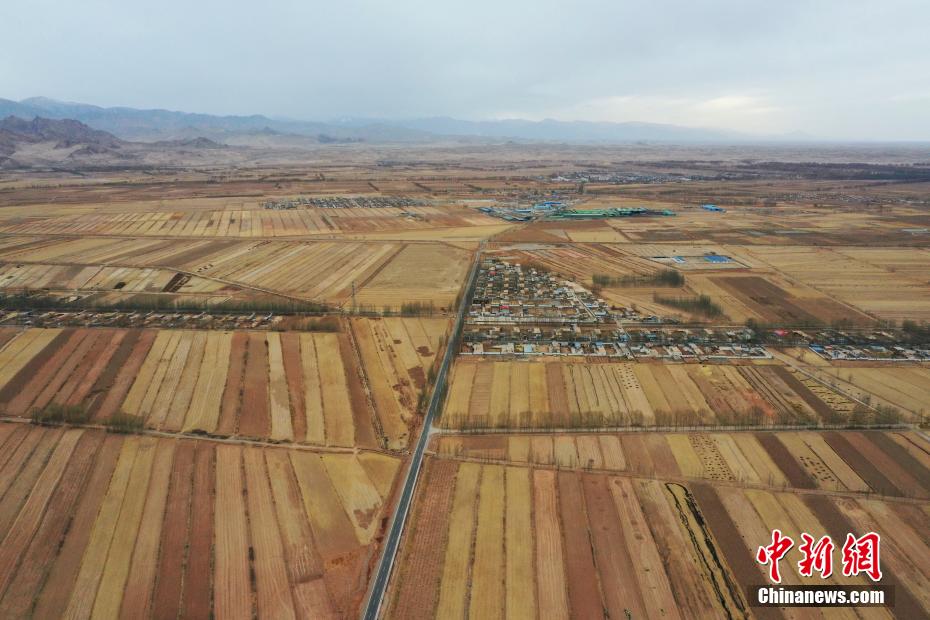 俯瞰“柴达木粮仓”田间地头美如油画