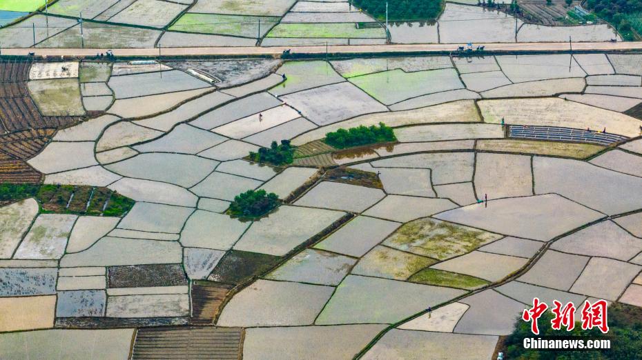 航拍广西乡村春耕美景 碧水方塘景如画