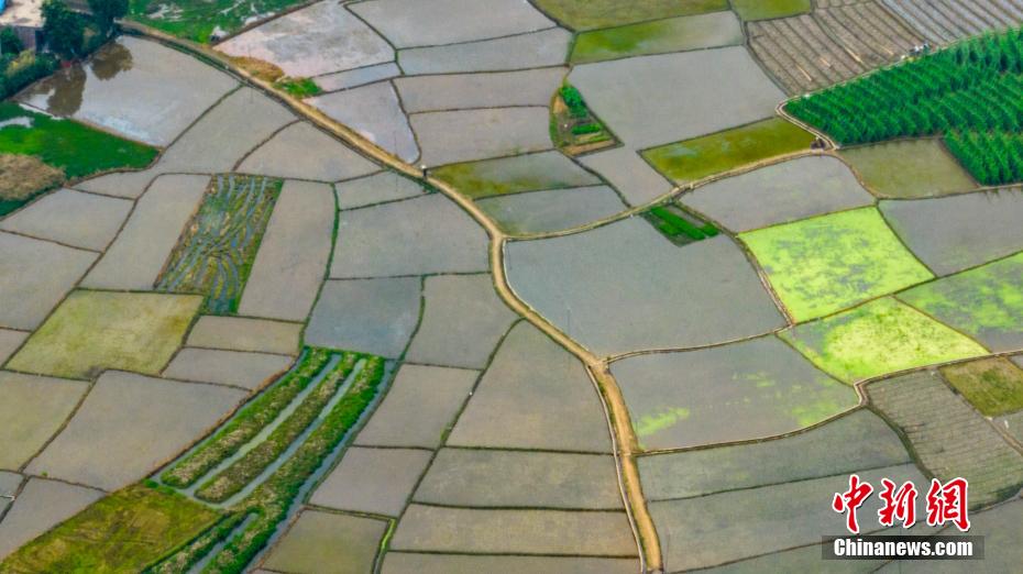 航拍广西乡村春耕美景 碧水方塘景如画