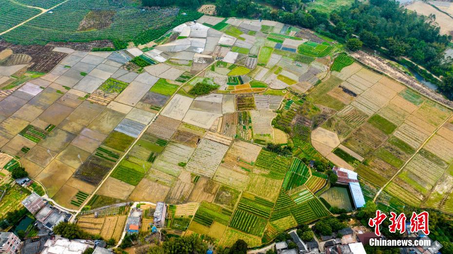 航拍广西乡村春耕美景 碧水方塘景如画
