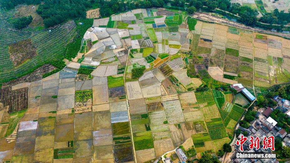 航拍广西乡村春耕美景 碧水方塘景如画