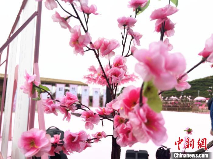 桃花缀满枝头，春意盎然。　蒋炜煌 摄