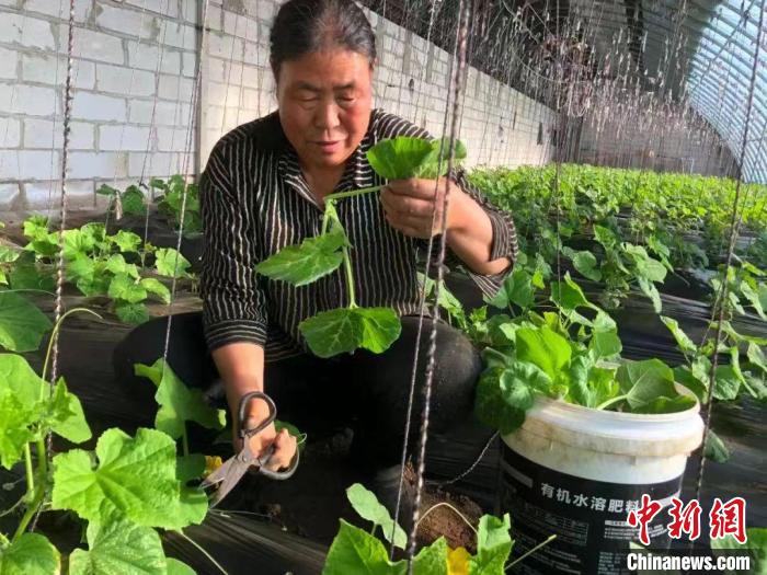 锡林郭勒草原上的“北京来客”:6年协作换来农牧区巨变