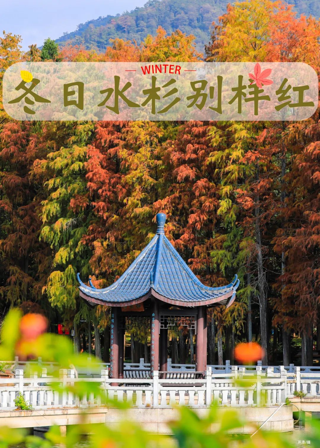 福州2024年“第一抹红”已上线! 福州2024年“第一抹红”已上线!