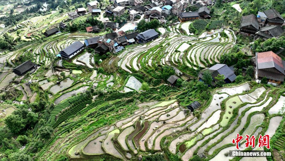 航拍广西侗乡立夏田园风光 斑斓梯田如画卷