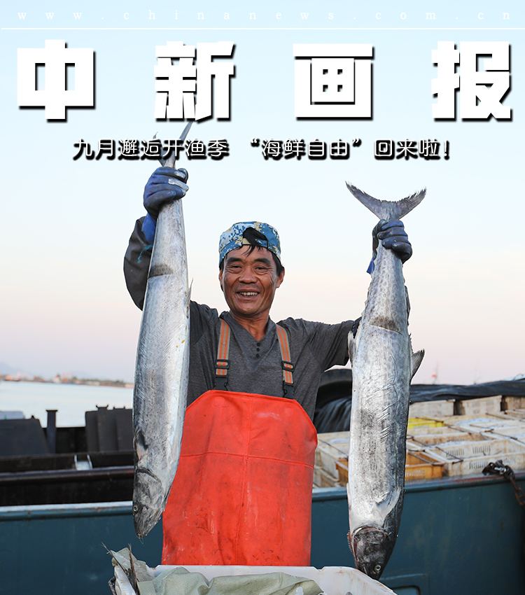 【图刊】九月邂逅开渔季 “海鲜自由”回来啦！