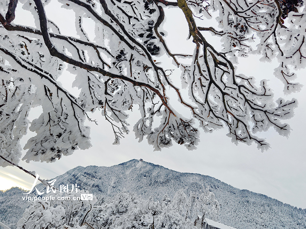 四川乐山：峨眉山冰雪旅游持续升温【4】