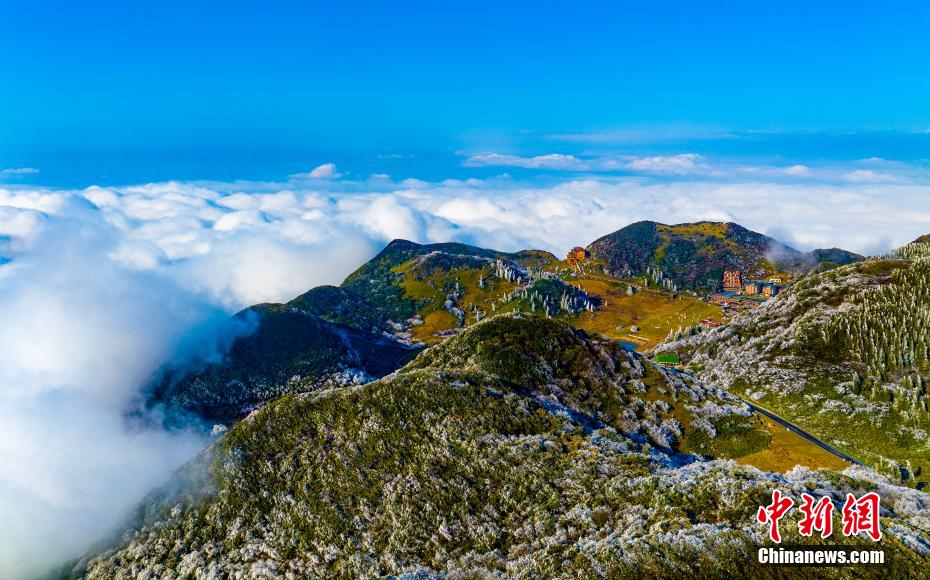 重庆金佛山：雪霁云海美如画