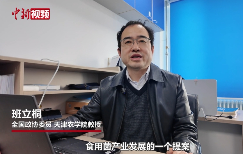 小蘑菇”撬动东西部协作“大产业”