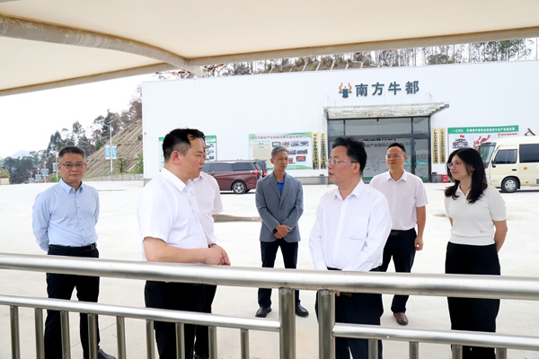 图为李龙飞（右三）在南方牛都了解企业生产销售情况