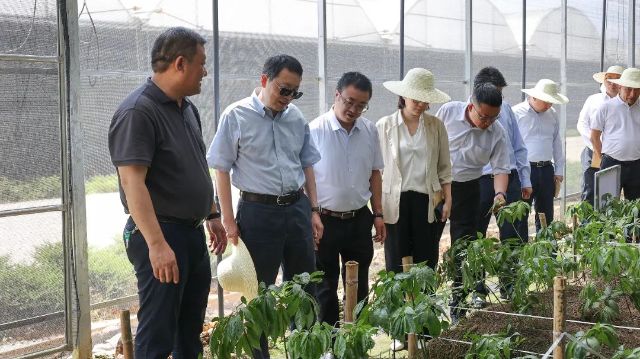 微信图片_2025-05-26_122439_431.jpg