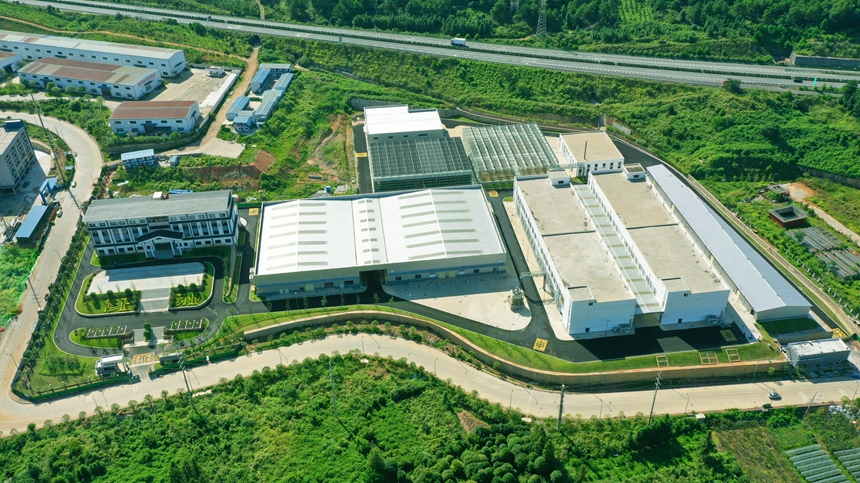 位于资源县中峰镇八坊村的中药材种植基地