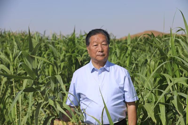 菌草技术发明人林占熺在内蒙古防风固沙基地