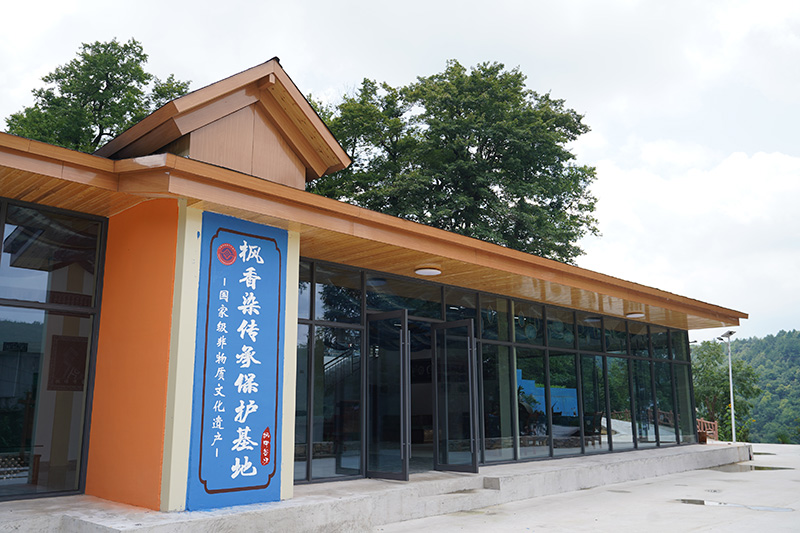 枫香染传承保护基地。
