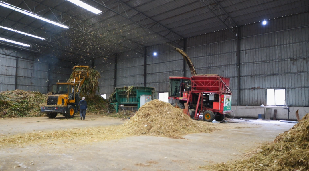 一根小秸秆“链”起多方共赢大产业。