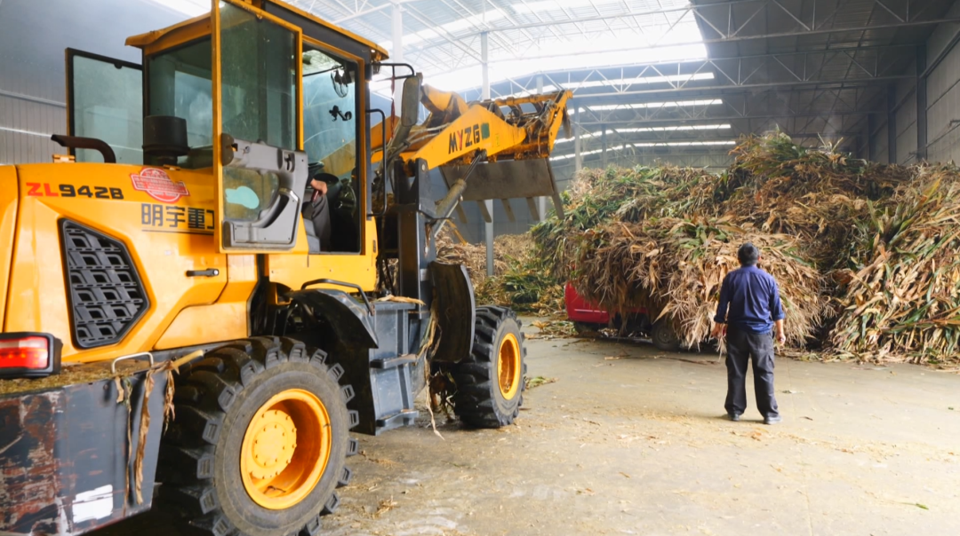 一根小秸秆“链”起多方共赢大产业。