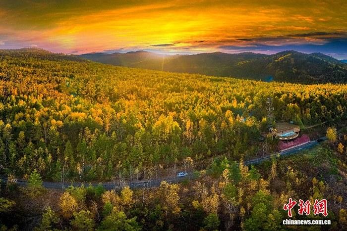 航拍金色莫尔道嘎 闯入北国童话之境