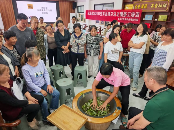 茶工培训。受访者供图