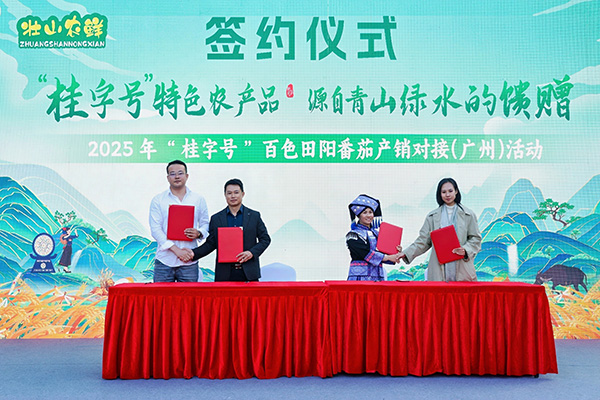 田阳区企业与大湾区企业成功签约。王海波摄