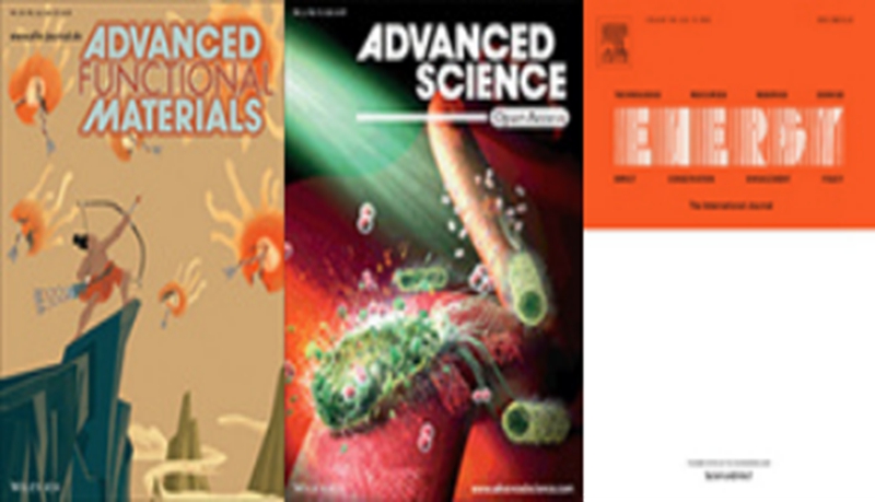 图4.教师在Adv.Funct.Mater.等学科顶国际级期刊发表论文.jpg